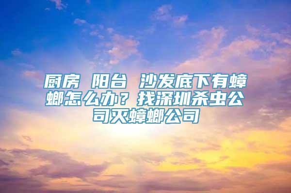 厨房 阳台 沙发底下有蟑螂怎么办？找深圳杀虫公司灭蟑螂公司