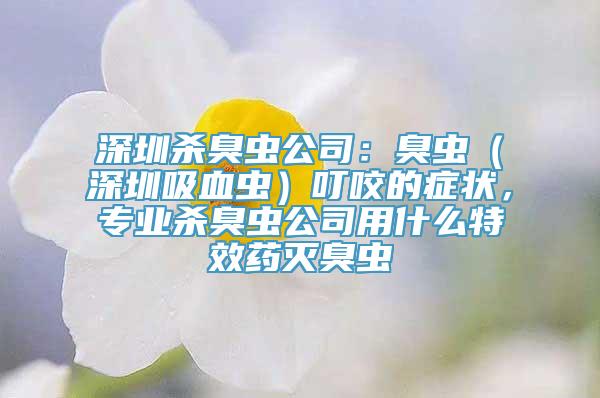 深圳杀臭虫公司：臭虫（深圳吸血虫）叮咬的症状，专业杀臭虫公司用什么特效药灭臭虫