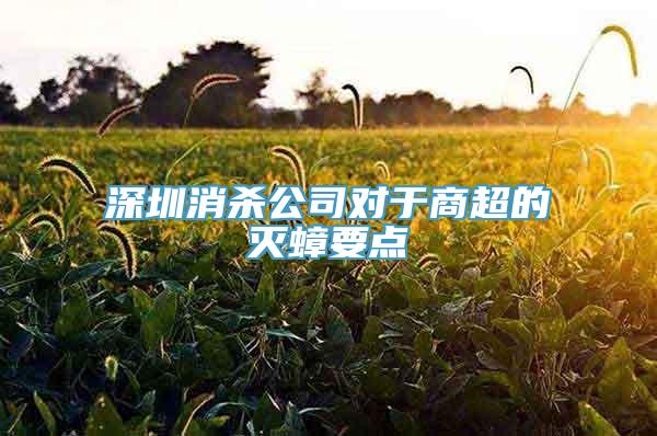 深圳消杀公司对于商超的灭蟑要点