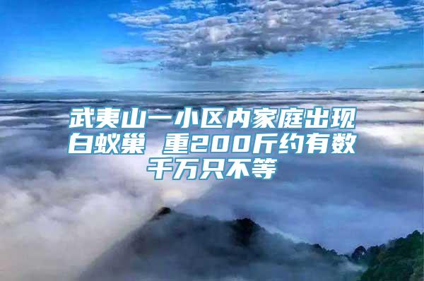 武夷山一小区内家庭出现白蚁巢 重200斤约有数千万只不等