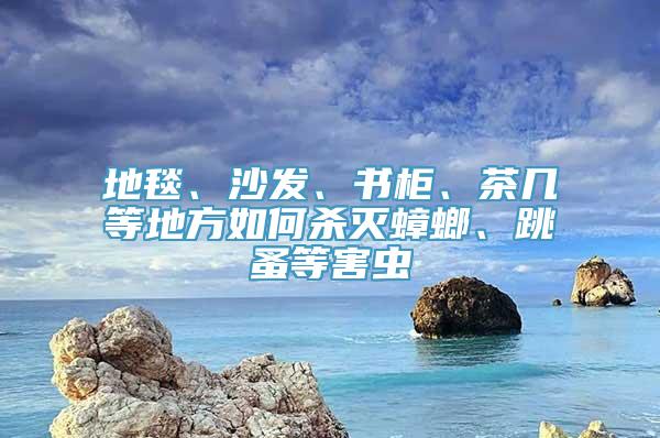 地毯、沙发、书柜、茶几等地方如何杀灭蟑螂、跳蚤等害虫