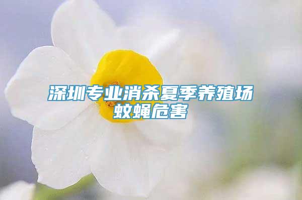 深圳专业消杀夏季养殖场蚊蝇危害