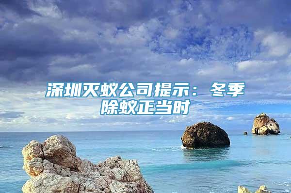 深圳灭蚁公司提示：冬季除蚁正当时