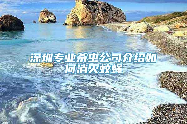 深圳专业杀虫公司介绍如何消灭蚊蝇