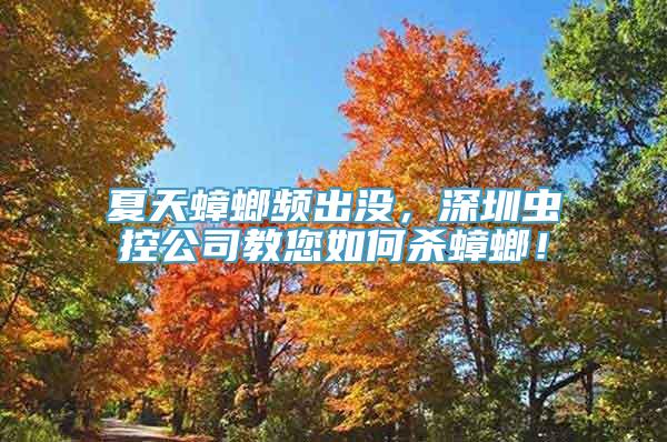 夏天蟑螂频出没，深圳虫控公司教您如何杀蟑螂！