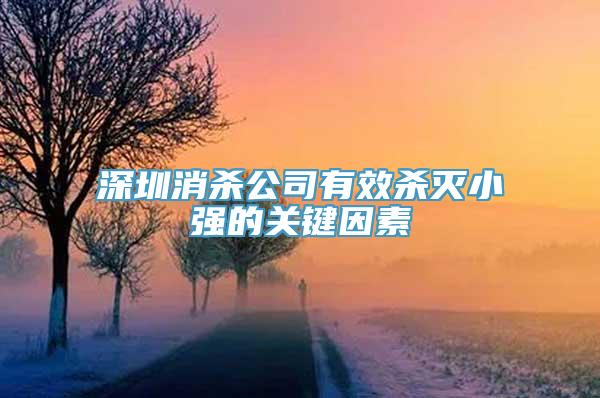 深圳消杀公司有效杀灭小强的关键因素