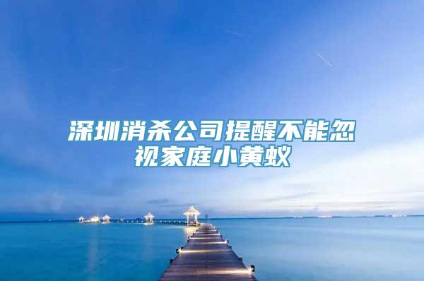 深圳消杀公司提醒不能忽视家庭小黄蚁