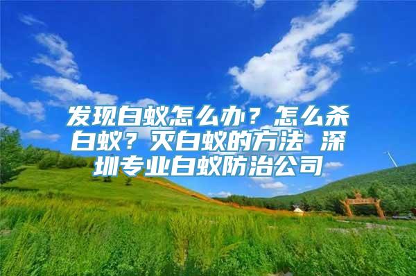 发现白蚁怎么办？怎么杀白蚁？灭白蚁的方法 深圳专业白蚁防治公司