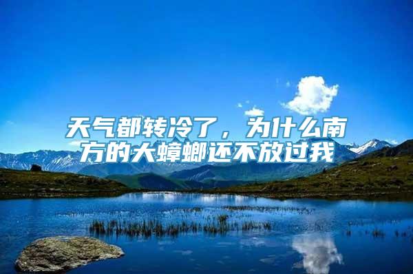 天气都转冷了，为什么南方的大蟑螂还不放过我