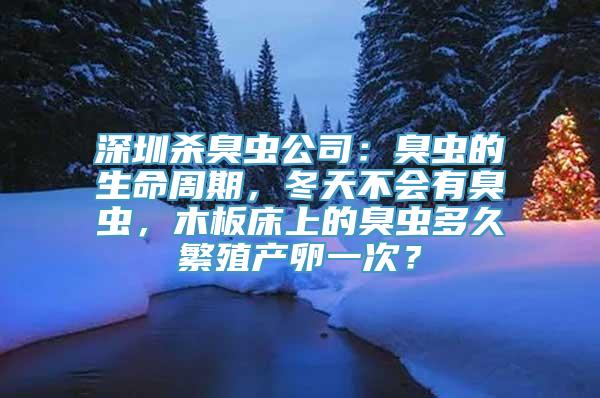 深圳杀臭虫公司：臭虫的生命周期，冬天不会有臭虫，木板床上的臭虫多久繁殖产卵一次？