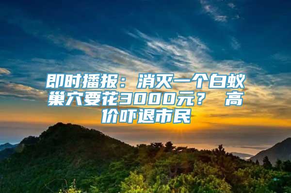 即时播报：消灭一个白蚁巢穴要花3000元？ 高价吓退市民