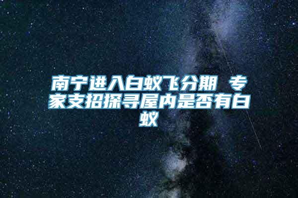 南宁进入白蚁飞分期 专家支招探寻屋内是否有白蚁