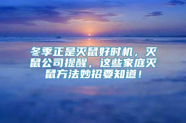 冬季正是灭鼠好时机，灭鼠公司提醒，这些家庭灭鼠方法妙招要知道！