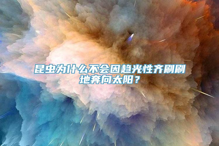 昆虫为什么不会因趋光性齐刷刷地奔向太阳？