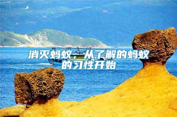 消灭蚂蚁，从了解的蚂蚁的习性开始