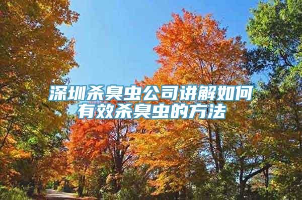 深圳杀臭虫公司讲解如何有效杀臭虫的方法