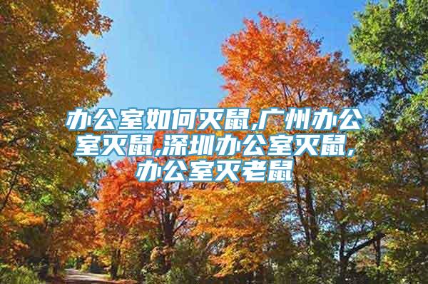 办公室如何灭鼠,广州办公室灭鼠,深圳办公室灭鼠,办公室灭老鼠