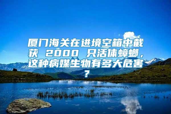 厦门海关在进境空箱中截获 2000 只活体蟑螂，这种病媒生物有多大危害？