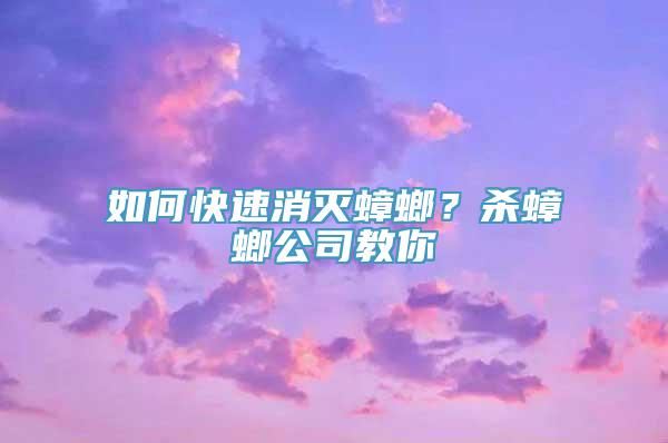 如何快速消灭蟑螂？杀蟑螂公司教你