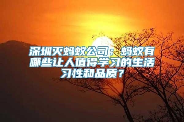 深圳灭蚂蚁公司：蚂蚁有哪些让人值得学习的生活习性和品质？