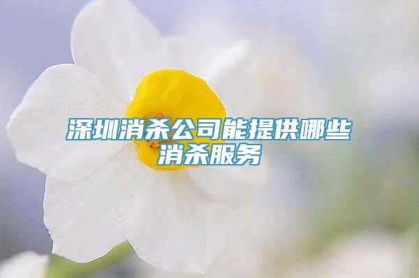 深圳消杀公司能提供哪些消杀服务