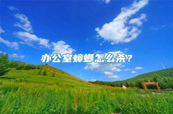 办公室蟑螂怎么杀？