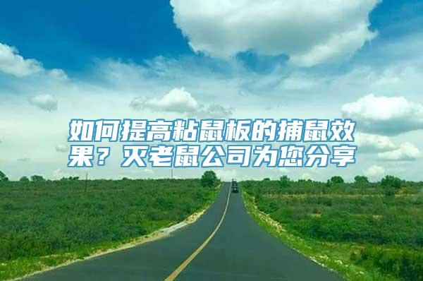 如何提高粘鼠板的捕鼠效果？灭老鼠公司为您分享