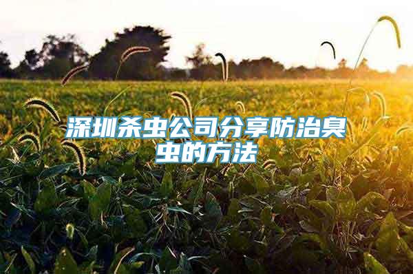 深圳杀虫公司分享防治臭虫的方法