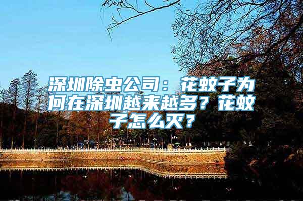 深圳除虫公司：花蚊子为何在深圳越来越多？花蚊子怎么灭？