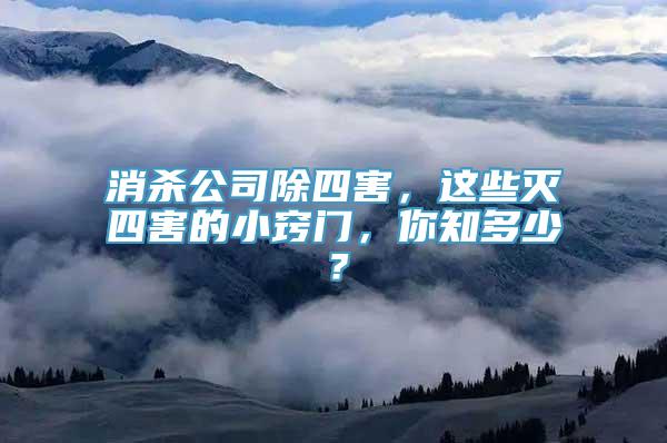 消杀公司除四害，这些灭四害的小窍门，你知多少？