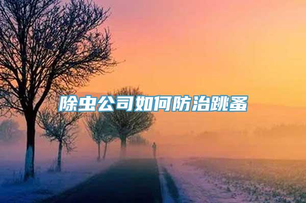 除虫公司如何防治跳蚤