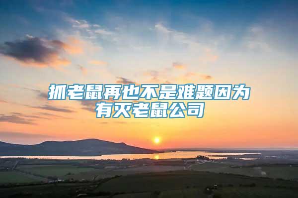 抓老鼠再也不是难题因为有灭老鼠公司