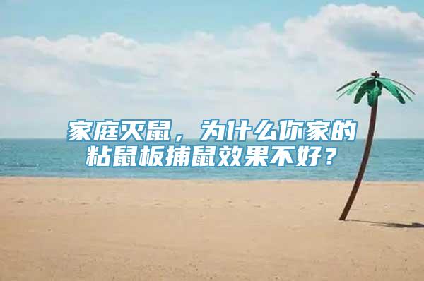 家庭灭鼠，为什么你家的粘鼠板捕鼠效果不好？
