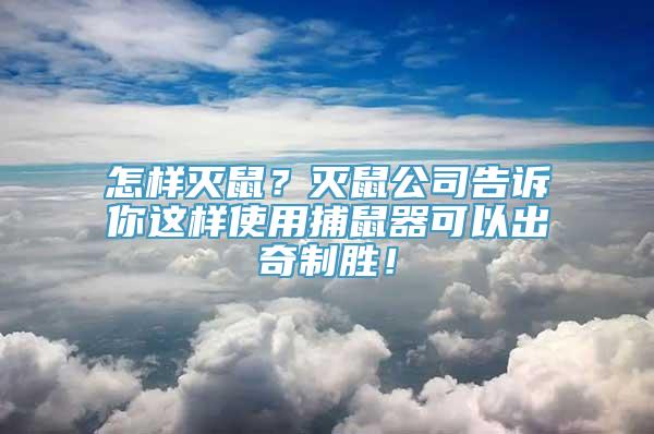 怎样灭鼠？灭鼠公司告诉你这样使用捕鼠器可以出奇制胜！