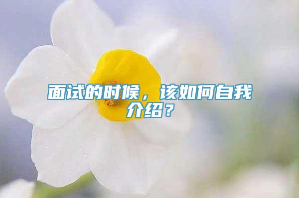 面试的时候，该如何自我介绍？