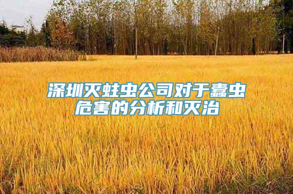 深圳灭蛀虫公司对于蠹虫危害的分析和灭治