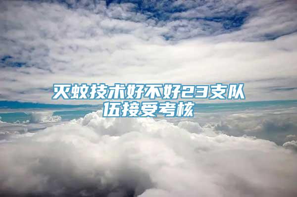 灭蚊技术好不好23支队伍接受考核