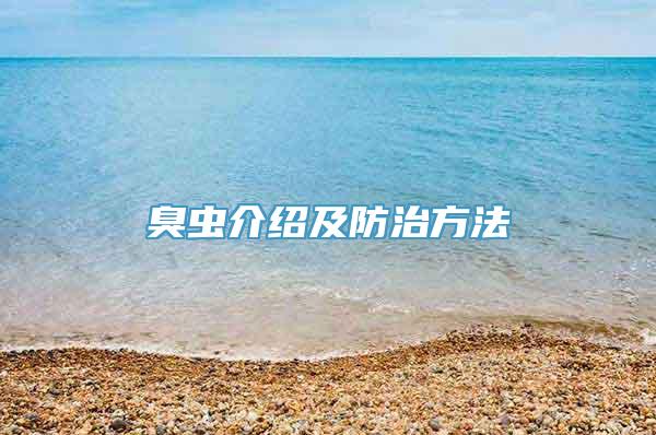 臭虫介绍及防治方法