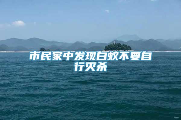 市民家中发现白蚁不要自行灭杀