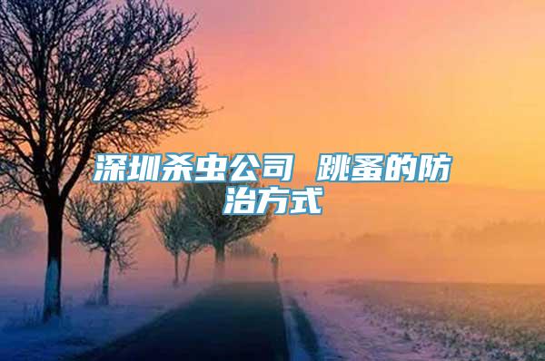 深圳杀虫公司 跳蚤的防治方式