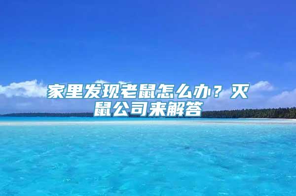 家里发现老鼠怎么办？灭鼠公司来解答