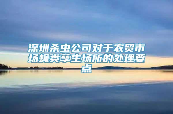 深圳杀虫公司对于农贸市场蝇类孳生场所的处理要点