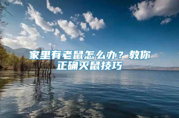 家里有老鼠怎么办？教你正确灭鼠技巧