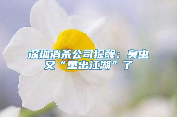 深圳消杀公司提醒：臭虫又“重出江湖”了