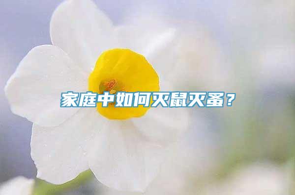 家庭中如何灭鼠灭蚤？