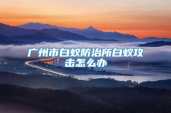 广州市白蚁防治所白蚁攻击怎么办