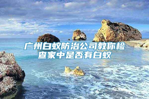 广州白蚁防治公司教你检查家中是否有白蚁