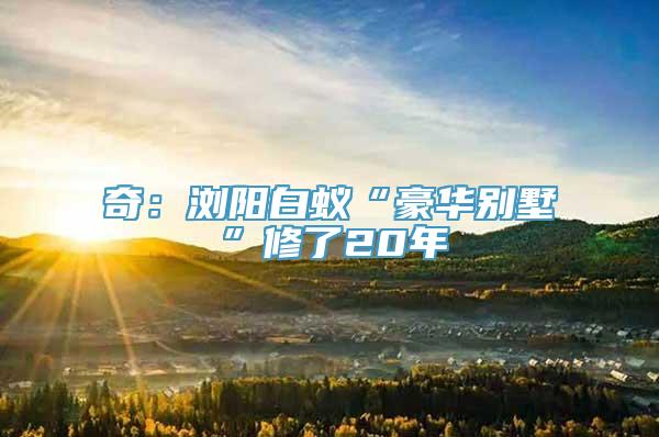 奇：浏阳白蚁“豪华别墅”修了20年