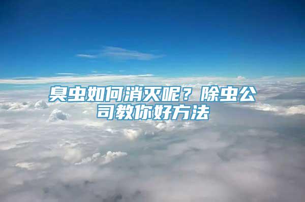 臭虫如何消灭呢？除虫公司教你好方法