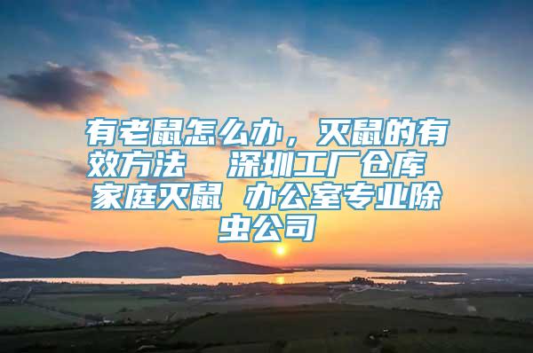 有老鼠怎么办，灭鼠的有效方法  深圳工厂仓库 家庭灭鼠 办公室专业除虫公司